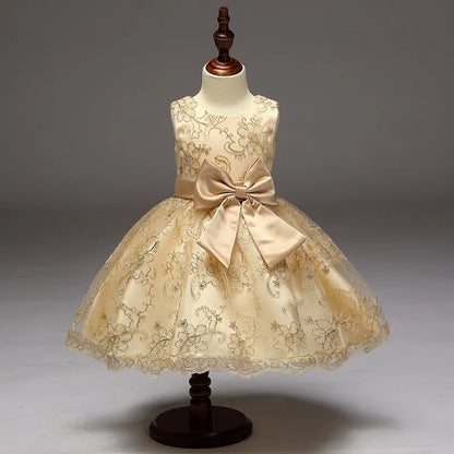 Gold Embroidery Floral Patterns Dress For Girls